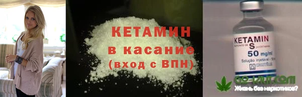 гидра Аркадак