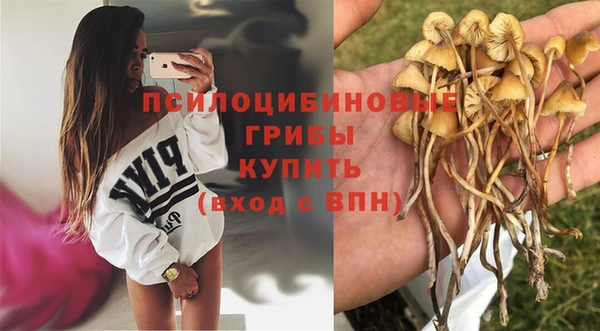гидра Аркадак