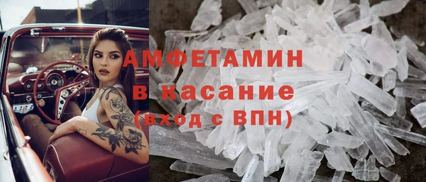 гидра Аркадак
