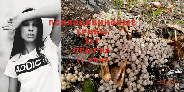 первитин Армянск