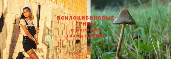 каннабис Арсеньев