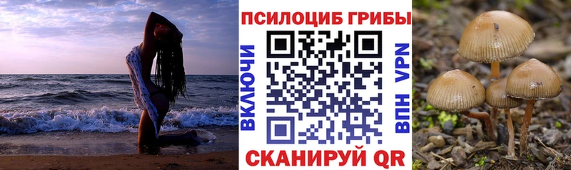 Галлюциногенные грибы прущие грибы  купить наркотик  blacksprut сайт  Артёмовский 